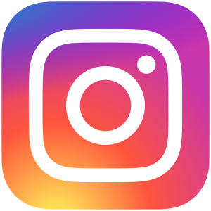 Add 1000 Instagram Followers to profile by panton